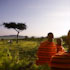 01-Kenia-Masai-Mara-6.jpg